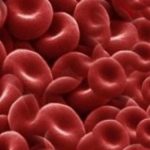 Eritrosit (RBC) nedir? İdrardaki eritrositlerin yüksekliği nedir?