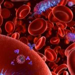 Her 5 ölü için 1: Sepsi! Kan zehirlenmesi nedir?
