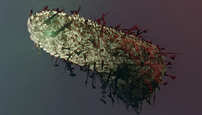 Öfke uyarısı: “Beyin hasarına yol açar ve ölüme yol açar” Öfkeden korunmanın en kritik adımı nedir?