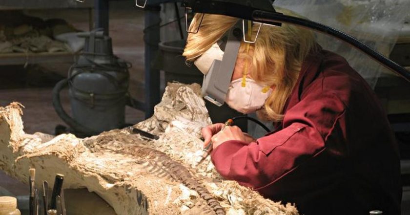 Paleontolog adı nedir? Paleontolog ne yapar, nasıl olunur?