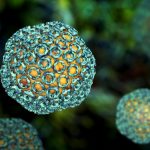 Hayvanlardan insanlara bulaşan ölümcül salgın yayılıyor: 29 kişinin ölümüne neden oldu!