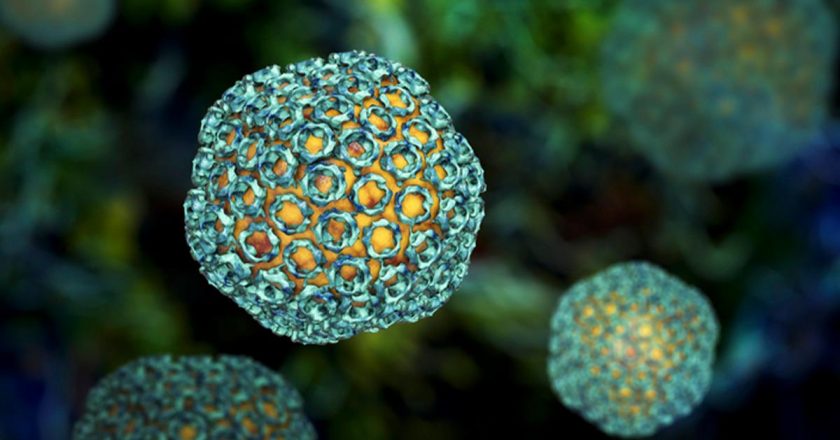 Hayvanlardan insanlara bulaşan ölümcül salgın yayılıyor: 29 kişinin ölümüne neden oldu!