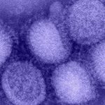 Kuzey Yarımküre’de “H3N2” alarmı! “Eşi görülmemiş grip vakaları yaşanıyor”