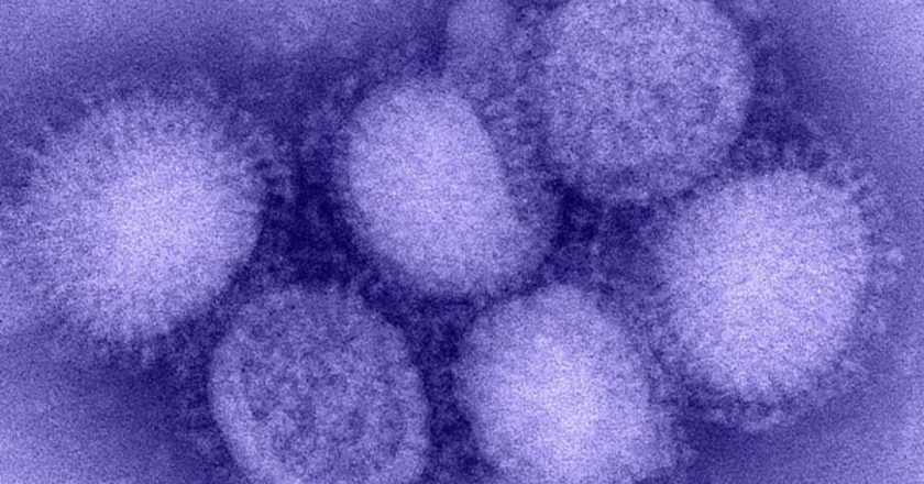 Kuzey Yarımküre’de “H3N2” alarmı! “Eşi görülmemiş grip vakaları yaşanıyor”